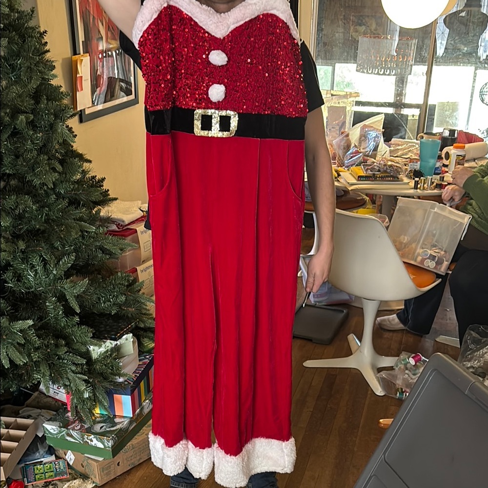 Festive Santa Costume Dress